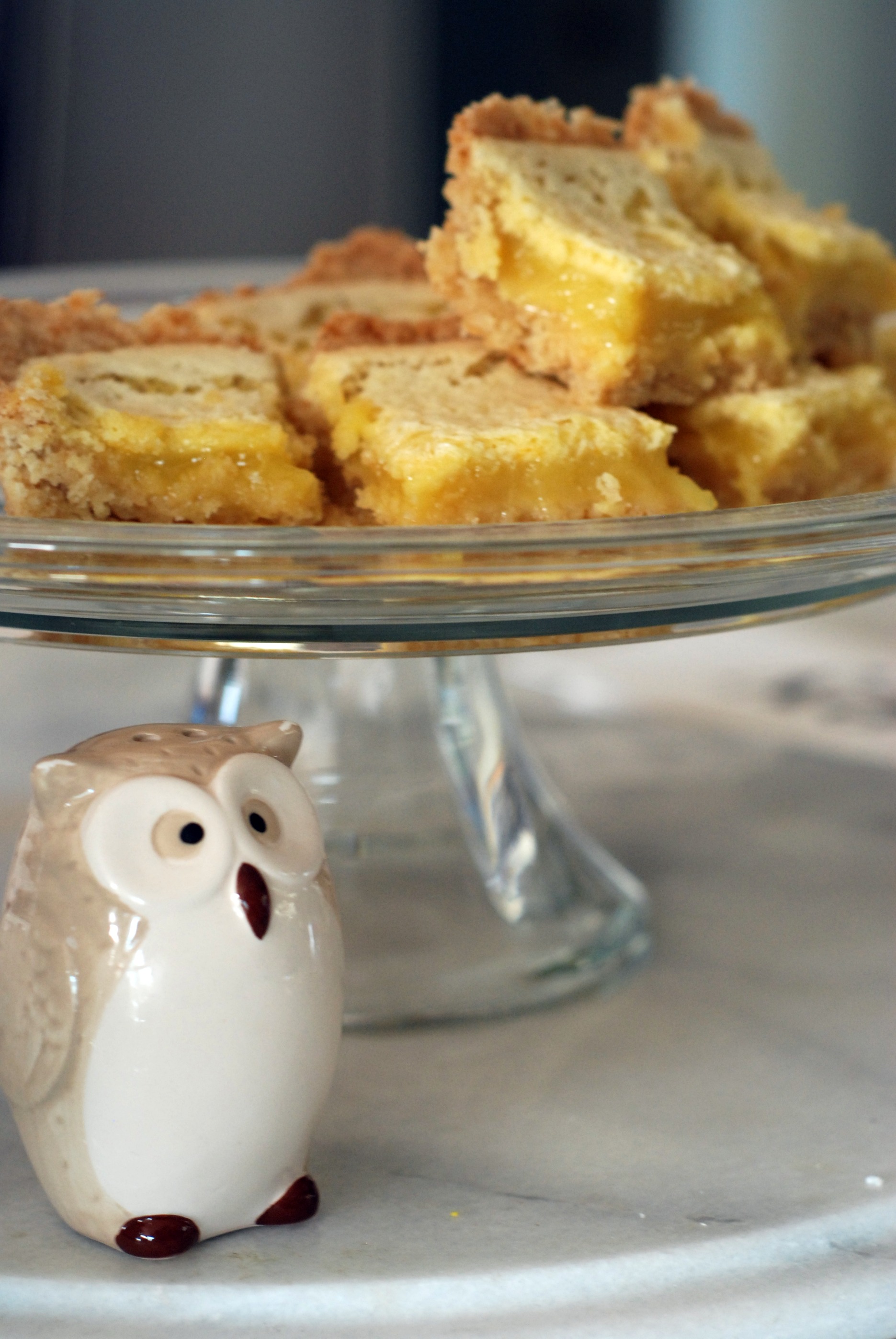 lemon bars 11