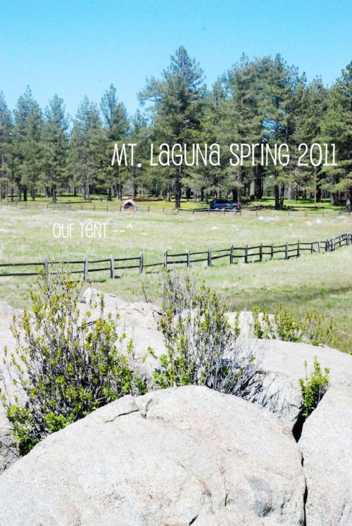 mtlaguna