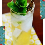 drink1