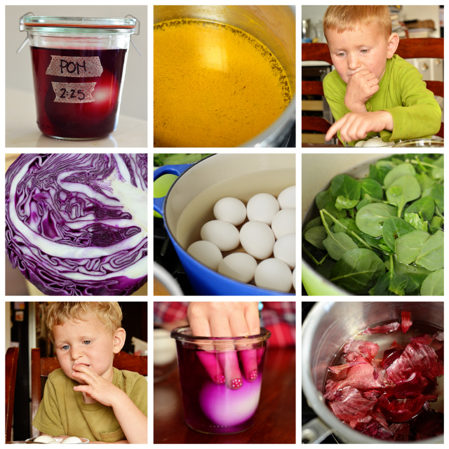 eggs1