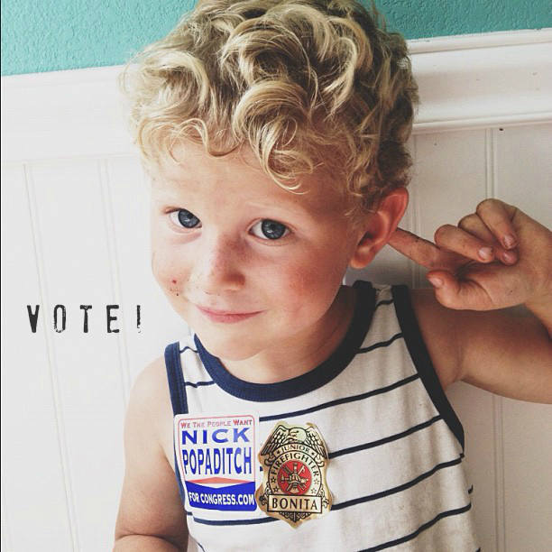 vote