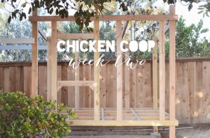 Chicken Coop Update: We Have Walls!