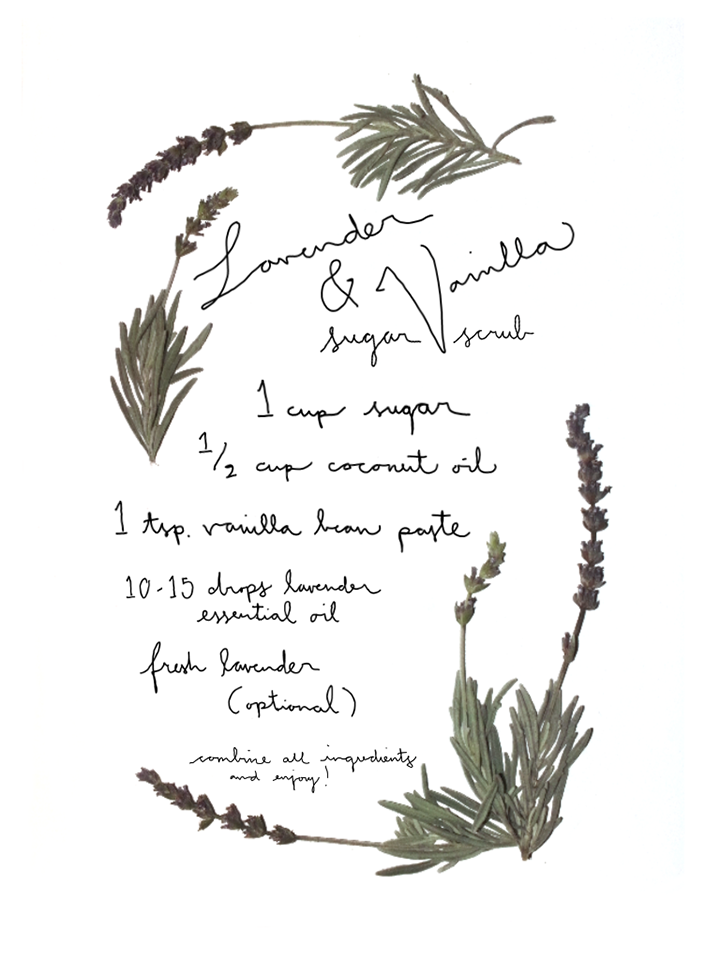 lavendersugar copy